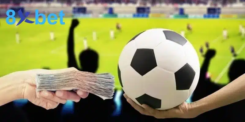 Lý do nên chọn 8XBET để tham gia cá cược bóng đá
